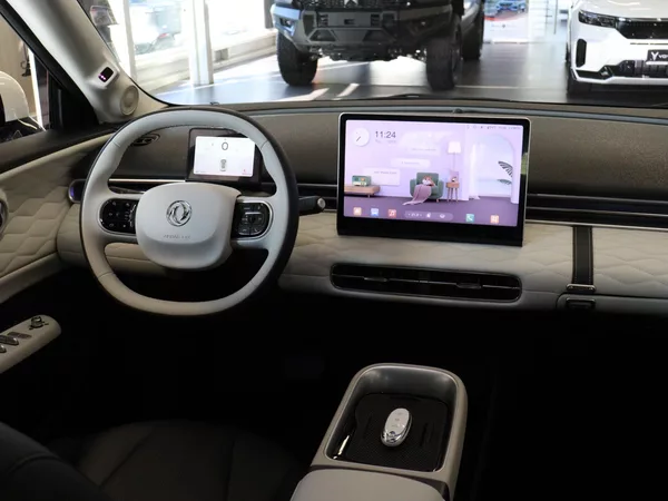 Dongfeng Box 42,3 kWh E3, - foto 8