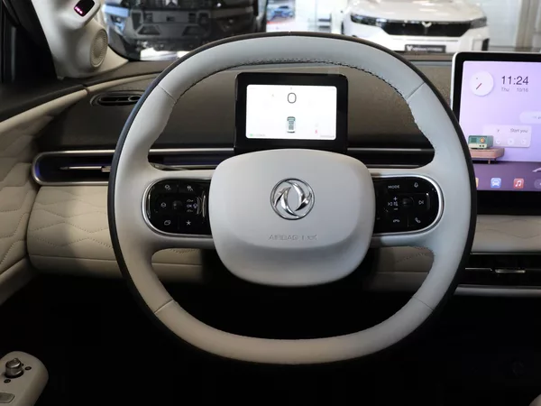 Dongfeng Box 42,3 kWh E3, - foto 9