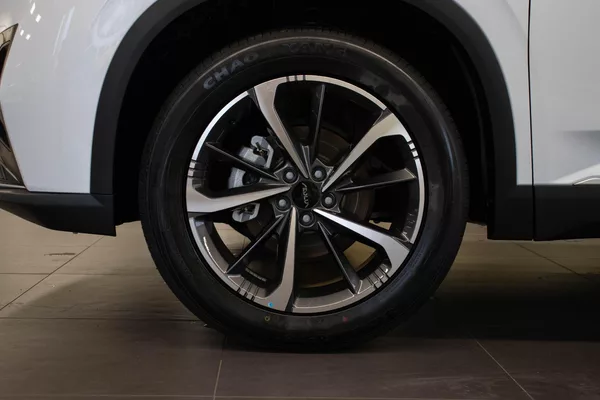 Dongfeng Mage E2 1.5T, - foto 10
