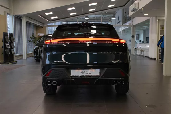 Dongfeng Mage E2 1.5T, - foto 5