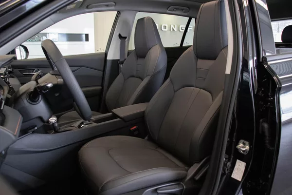 Dongfeng SHINE GS - foto 14