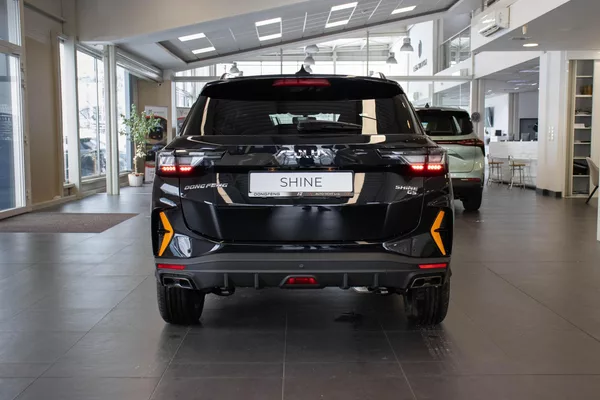 Dongfeng SHINE GS - foto 5