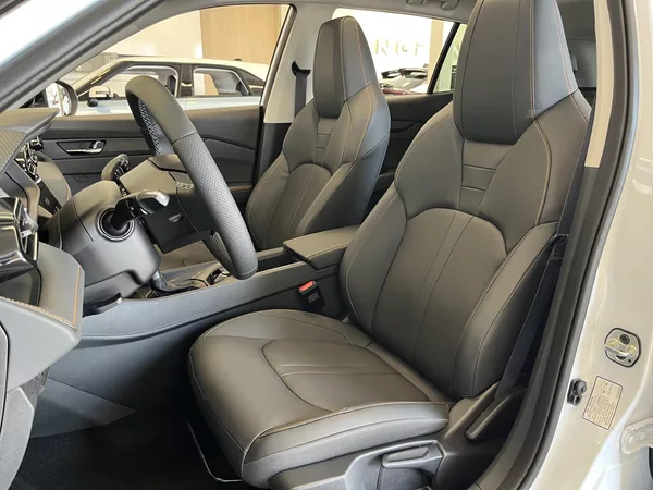 Dongfeng SHINE GS - foto 19