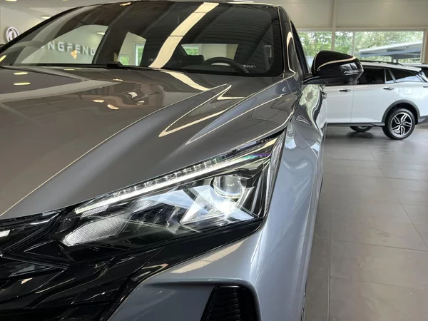 Dongfeng SHINE E3 1.5 140 kW - foto 18