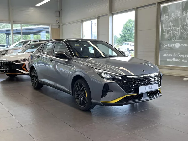 Dongfeng SHINE E3 1.5 140 kW - foto 3