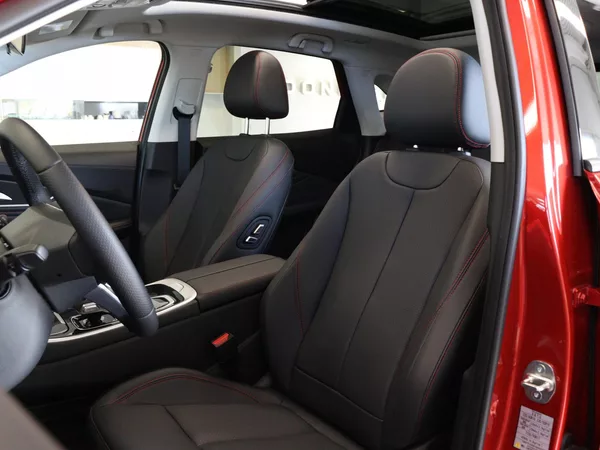 Dongfeng T5 EVO DRAGON Edition - foto 15
