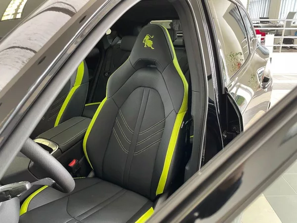 Dongfeng T5 EVO EV - foto 15