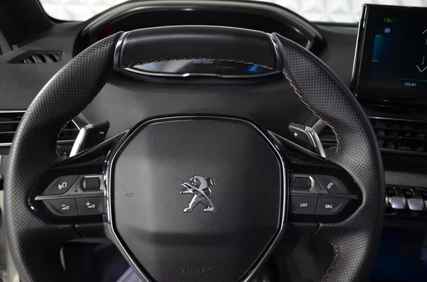 Peugeot 3008 PHEV 300 GT AWD AT - foto 11