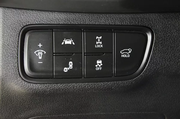 Hyundai Santa Fe 2.2CRDi 147kw Luxury 4x4 - foto 19
