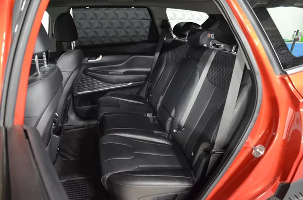 Hyundai Santa Fe 2.2CRDi 147kw Luxury 4x4 - foto 22