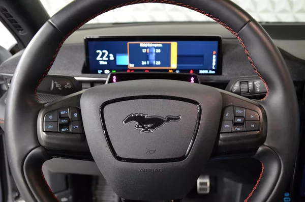 Ford Mustang Mach-E 98,7kWh PrD Prem AWD AT - foto 10