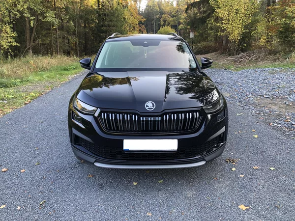Škoda Kodiaq 1.5 TSI DSG STYLE 7 MIST LIFT - foto 2