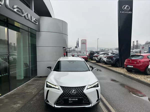 Lexus UX 300h 2.0 Prestige Plus - foto 5