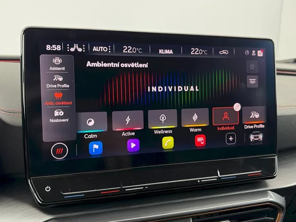 Cupra Formentor VZ 2.0 TSI 228kW 4X4 DSG - foto 18