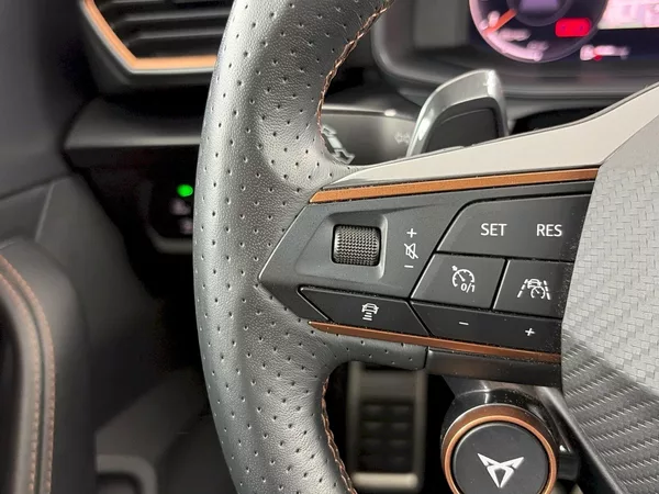 Cupra Formentor VZ 2.0 TSI 228kW 4X4 DSG - foto 29