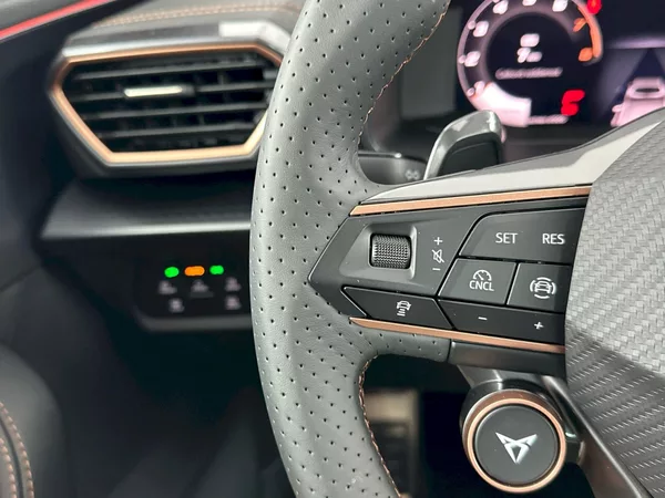 Cupra Formentor 2.0 TSI 150kW 4x4 DSG - foto 28