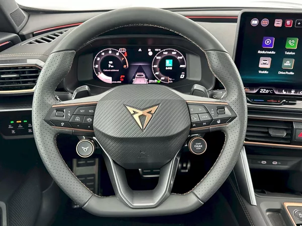 Cupra Formentor 2.0 TSI 150kW 4x4 DSG - foto 9