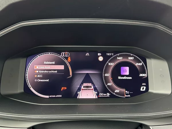 Cupra Formentor VZ 2.0 TSI 245kW 4x4 DSG - foto 10