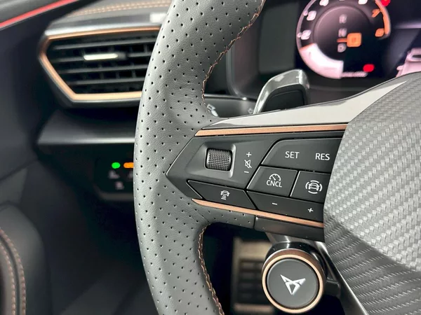 Cupra Formentor VZ 2.0 TSI 245kW 4x4 DSG - foto 28