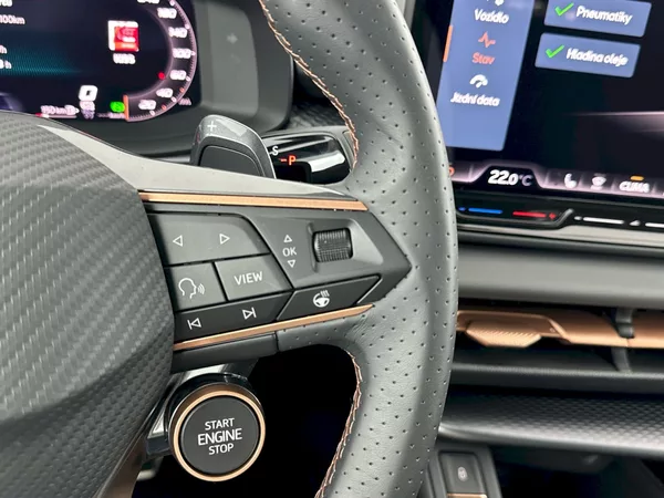 Cupra Terramar VZ 2.0 TSI 195kW 4x4 DSG - foto 28