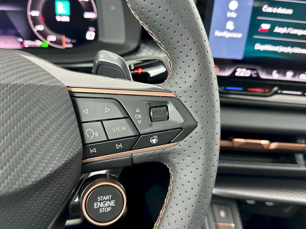 Cupra Terramar VZ 2.0 TSI 195kW 4x4 DSG - foto 26