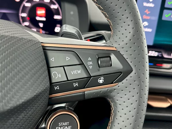 Cupra Terramar VZ 2.0 TSI 195kW 4x4 DSG - foto 27