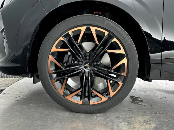 Cupra Terramar VZ 2.0 TSI 195kW 4x4 DSG - foto 34