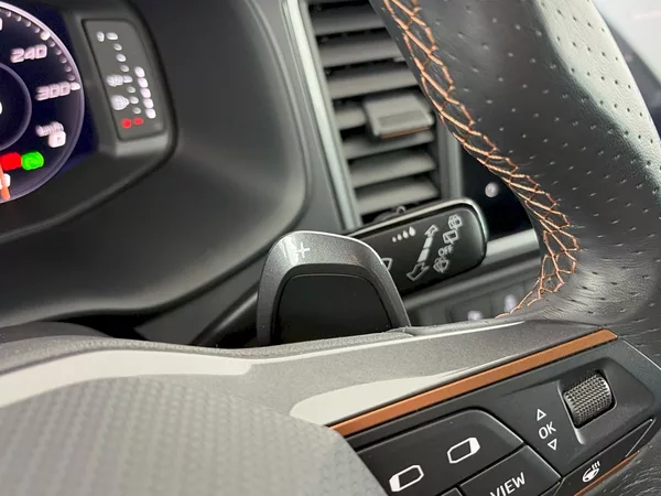 Cupra Ateca 2.0 TSI 221kW 4x4 DSG - foto 26