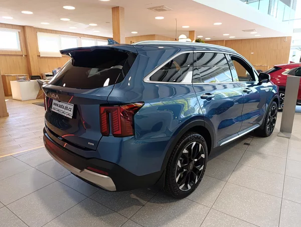Kia Sorento 2.2 CRDI TOP 4x4 NAPPA+PNS - foto 6