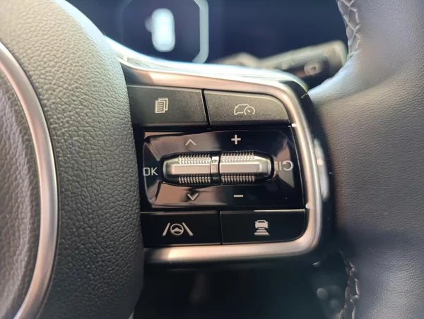 Kia Sorento 2.2 CRDI TOP 4x4 NAPPA+PNS - foto 9