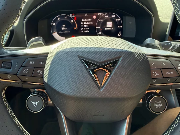 Cupra Formentor 2.0TDI TRIBE 150k DSG ZÁRUKA 5 - foto 38