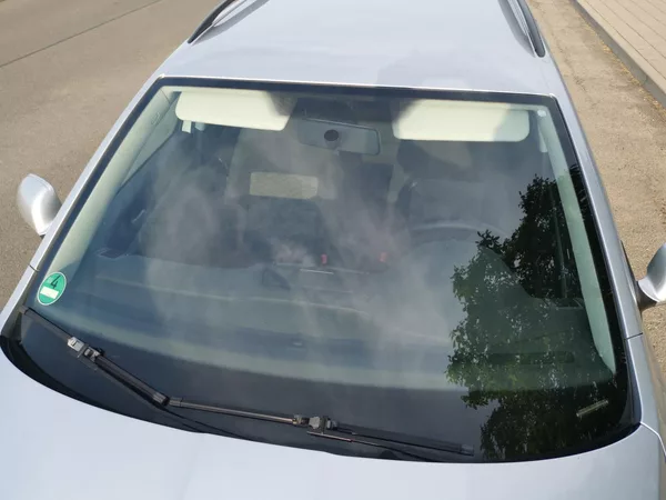 Škoda Octavia 2,0TDI 103 kW CR ELEGANCE - foto 11