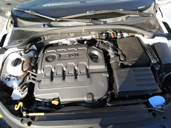 Škoda Octavia 1,6TDI-81KW-KOUPENA v ČR+STK - foto 14