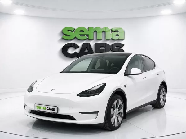 Tesla Model Y Long Range AWD SoH 91,4%
