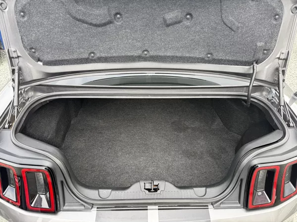 Ford Mustang 3.7 V6 - foto 13