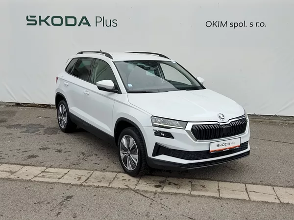 Škoda Karoq Ambition - Business 2,0 Tdi 85 - foto 33
