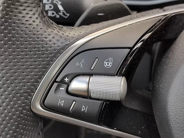 Škoda Octavia SportLine 2,0 Tsi 150 Kw 4x4 D - foto 30