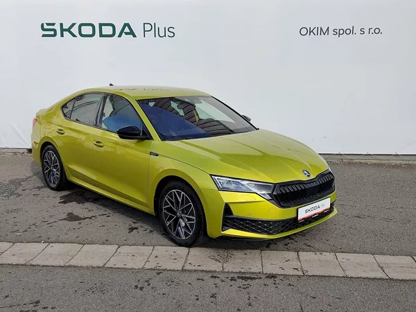 Škoda Octavia SportLine 2,0 Tsi 150 Kw 4x4 D - foto 33