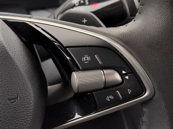 Škoda Kodiaq Selection 2,0 tdi 11 Kw DSG - foto 34