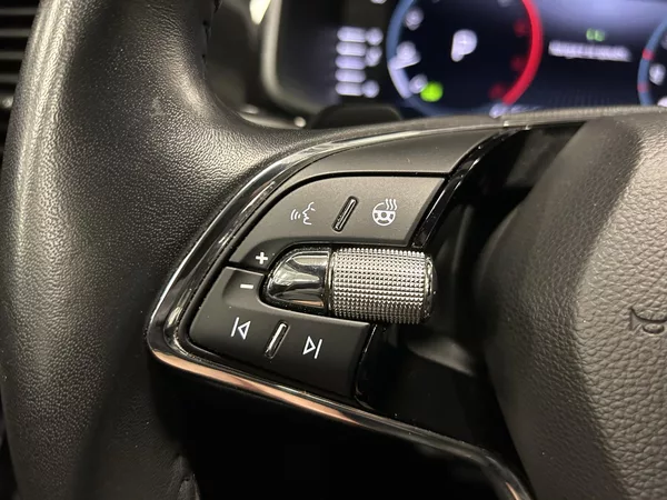 Škoda Kodiaq 2.0TDi L&K 4x4 7míst Panor 360 - foto 10