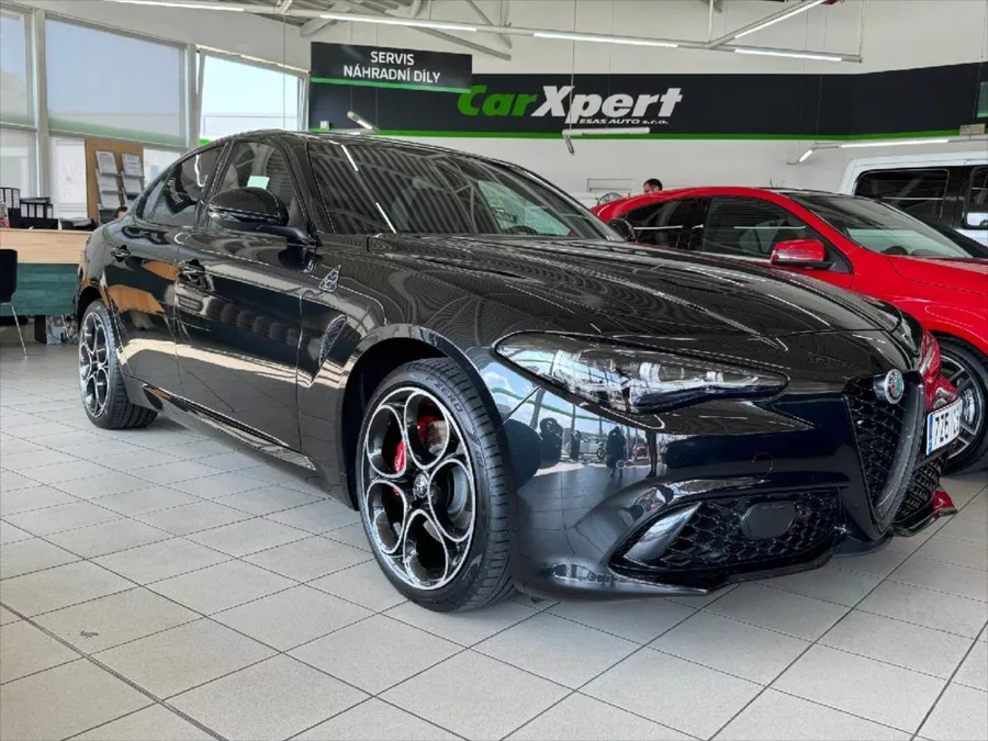 Alfa Romeo Giulia 2,0 COMPETIZIONE