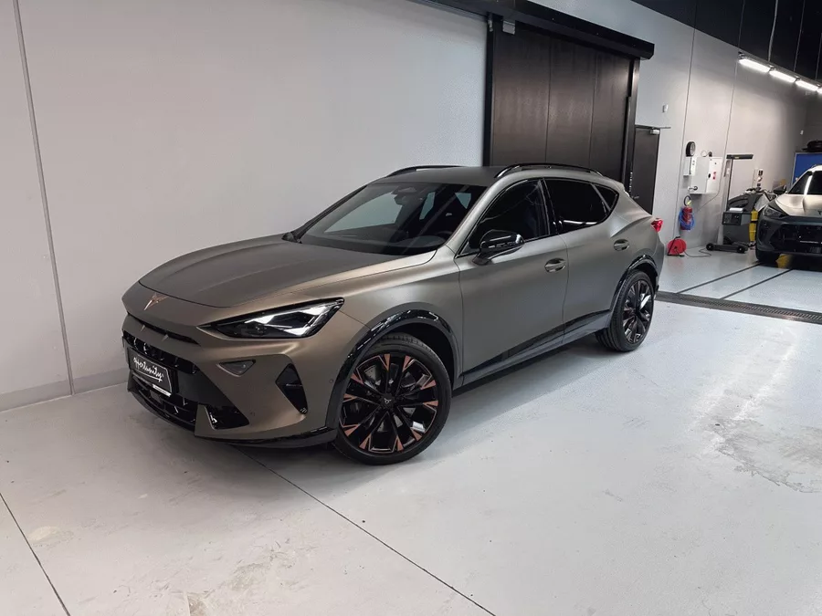 Cupra Formentor VZ 2.0 TSI 333k 4WD *HD MTRX*I
