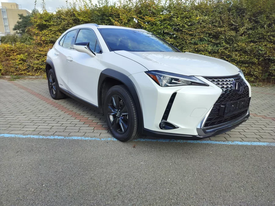 Lexus UX 250h black-white edition, kůže