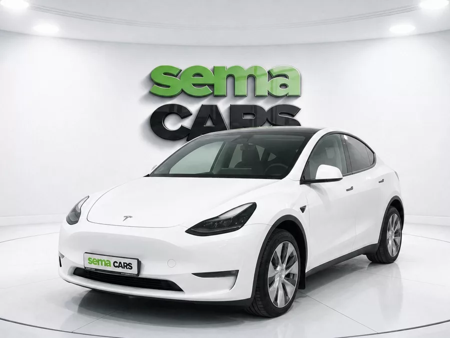 Tesla Model Y Long Range AWD DE SoH 90.2%