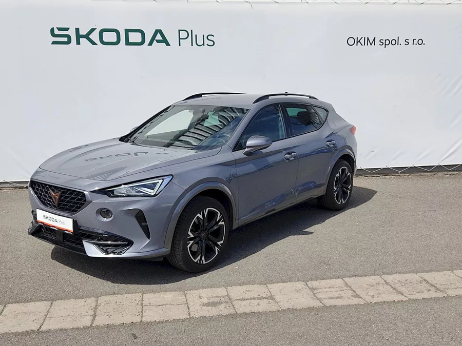 Cupra Formentor 2,0 tsi 140 Kw DSG 4Drive