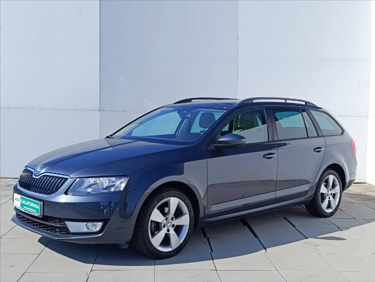 Škoda Octavia 1,6 TDi 4x4 Navi,Kůže,Aut.klim