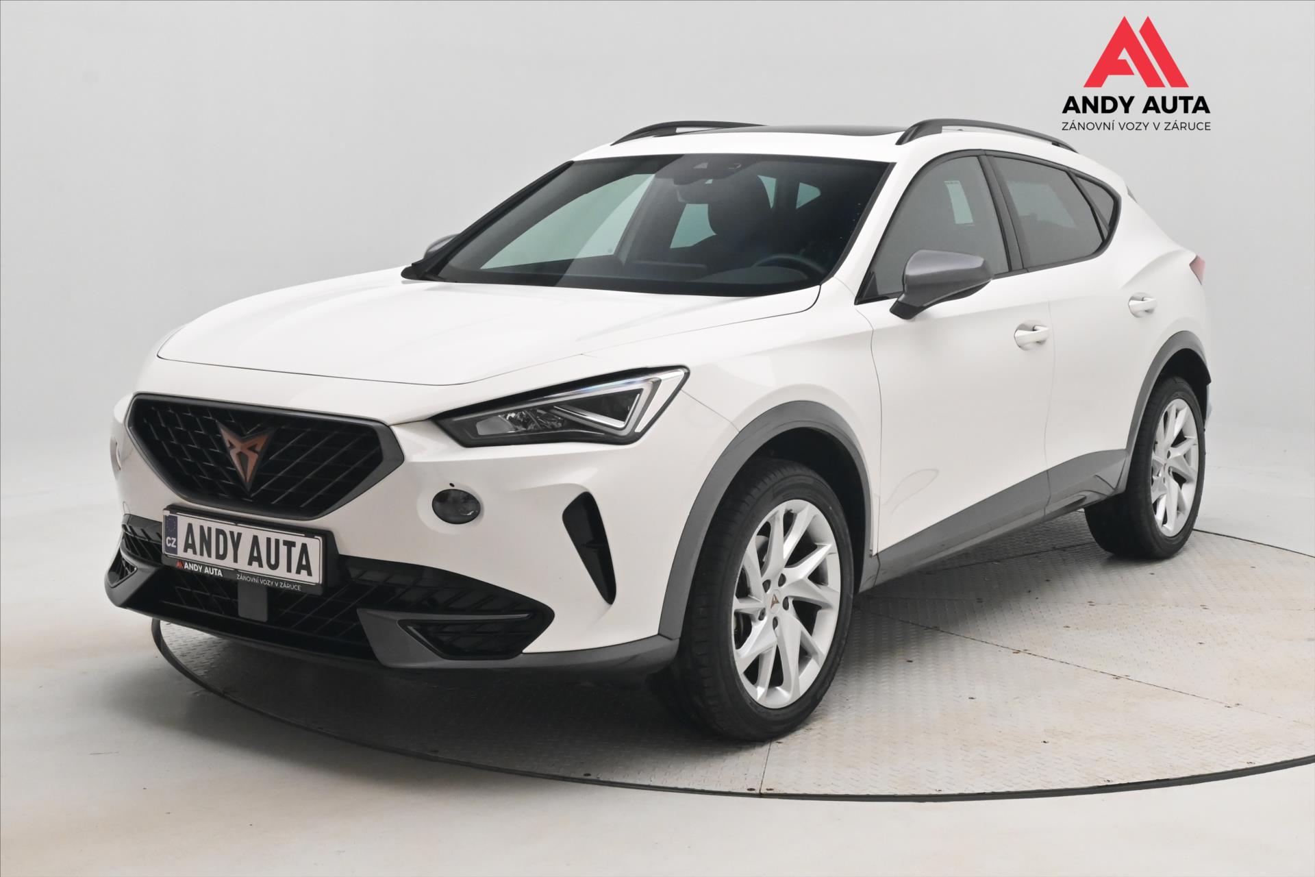Cupra Formentor 2,0 TDI 110kW DSG 4x4 Záruka a