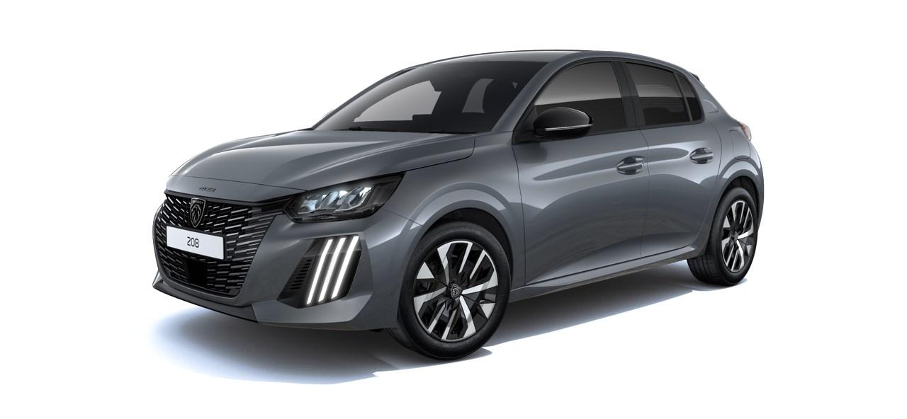 Peugeot 208 BUSINESS Turbo 100 MAN6