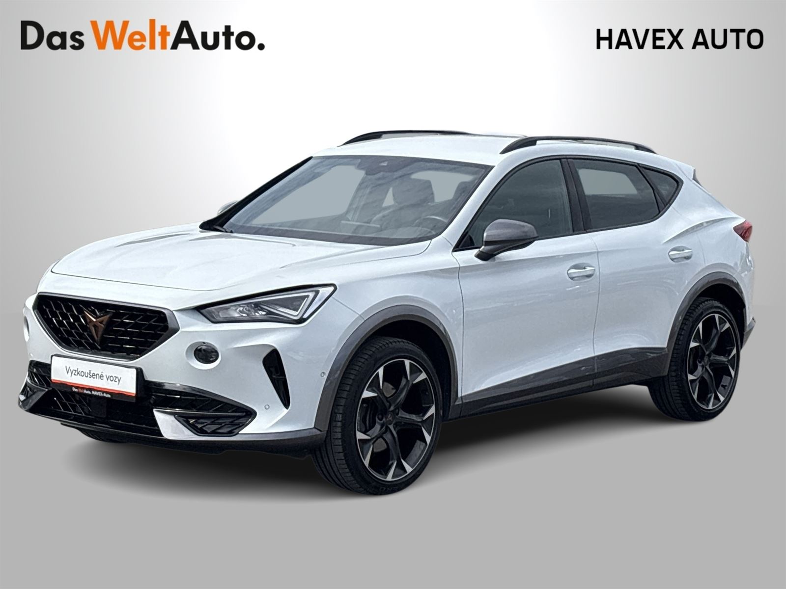 Cupra Formentor 2.0 TSI 4Drive DSG