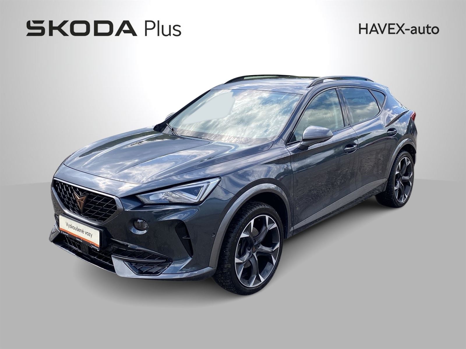 Cupra Formentor 2,0 TSI 4Drive DSG